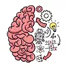 Brain Test: Tricky Puzzles