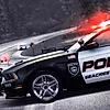 Police Games