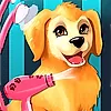 Become a Puppy Groomer