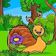 Insect Pic Puzzles